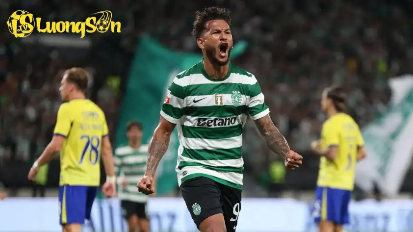 Sporting CP với lợi thế sân nhà và trình độ cao hơn rất nhiều được dự đoán sẽ có chiến thắng tưng bừng. Sporting CP với lợi thế sân nhà và trình độ cao hơn rất nhiều được dự đoán sẽ có chiến thắng tưng bừng.